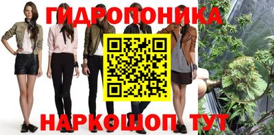 мяу мяу мука Кулебаки